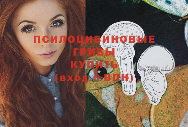 прущая мука Протвино