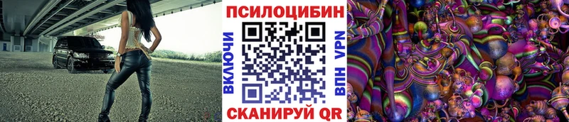 Галлюциногенные грибы Psilocybe  Купить  Опочка 